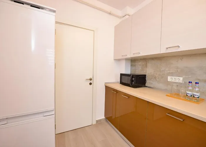 Sofia Cozy - Underground Private Parking アパート ブカレスト